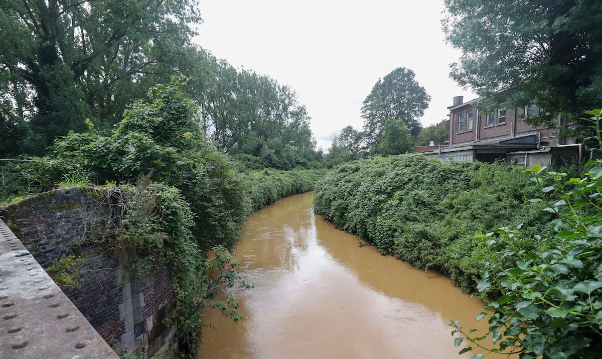 Brussels’ underground river will partially resurface after 150 years in hiding